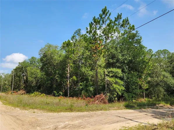 Dines Avenue Lot #6, Interlachen, FL 32148
