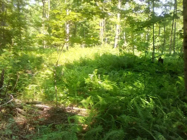 0 E Windsor Rd, Windsor, MA 01270
