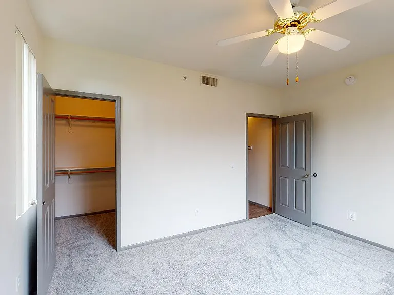 Spacious apartment bedroom with large closet and plush carpet flooring.