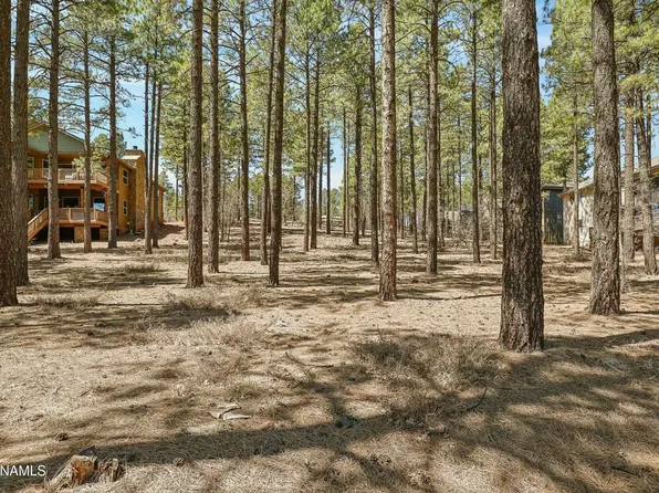 4130 S Lariat Loop, Flagstaff, AZ 86005