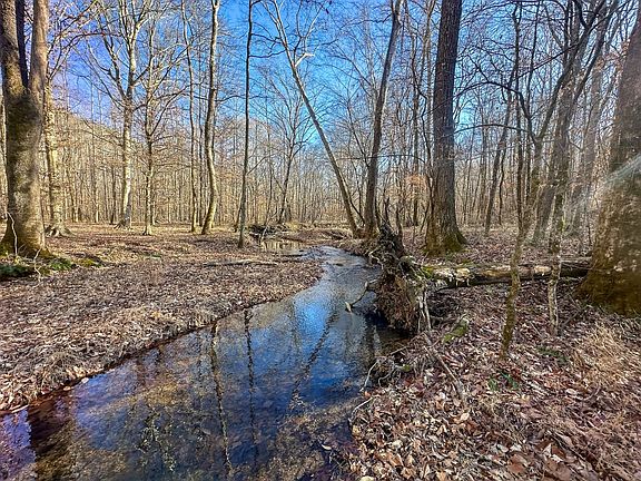 Compass South Land Sales Tennessee 14