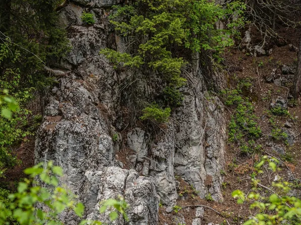 TRACT 7 Garnet Range Rd, Drummond, MT 59832