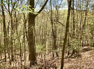 370 Summit Ln, Ellijay, GA 30540