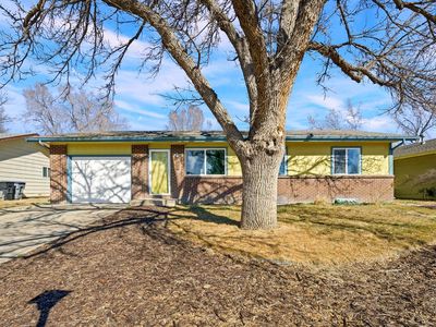 262 E 5th Ave, Longmont, CO, 80504