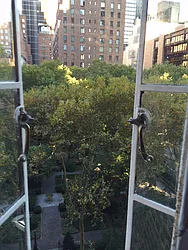 Rented by Vize Property Group