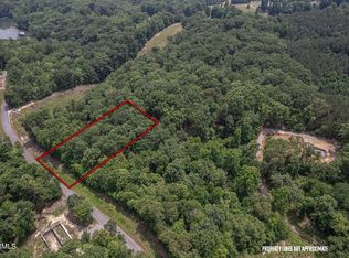 306 Chestnut Dr, Spring City, TN 37381