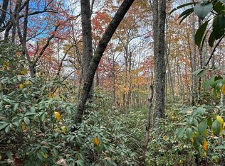 High Peak Rd, Hendersonville, NC 28739