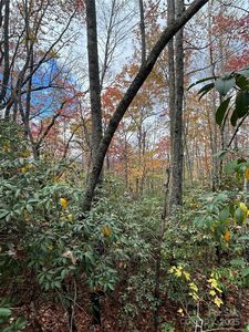 High Peak Rd, Hendersonville, NC, 28739