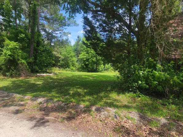3 Old Blakes Bridge Rd Tract 3, Burgaw, NC 28425