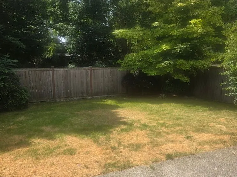 23617 SE 243rd Pl — Photo 27