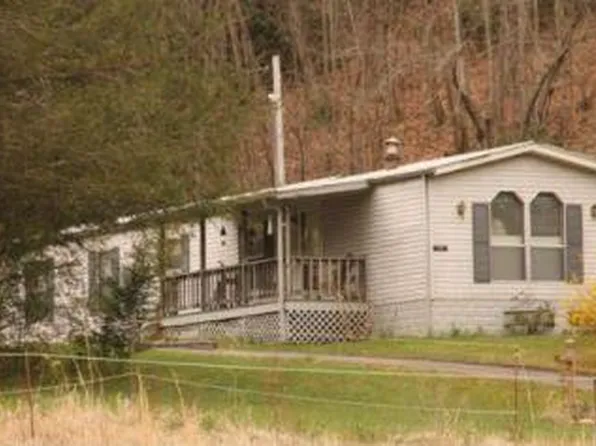 230 Blue Branch Rd, Burnsville, NC 28714