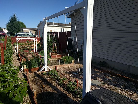 Garden plot with raised beds. Irrigation to each box.
