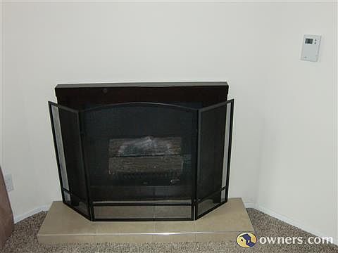 Fireplace in Living Room