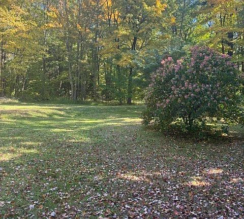 5th image of 9 Birch Hill Road