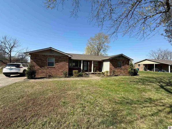 550 Blankenship Rd, Ledbetter, KY 42058