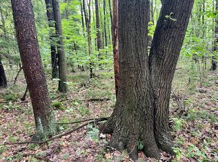 0 Ben Franklin Hwy, Belsano, PA 15922