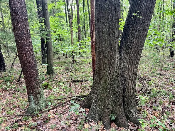 0 Ben Franklin Hwy, Belsano, PA 15922