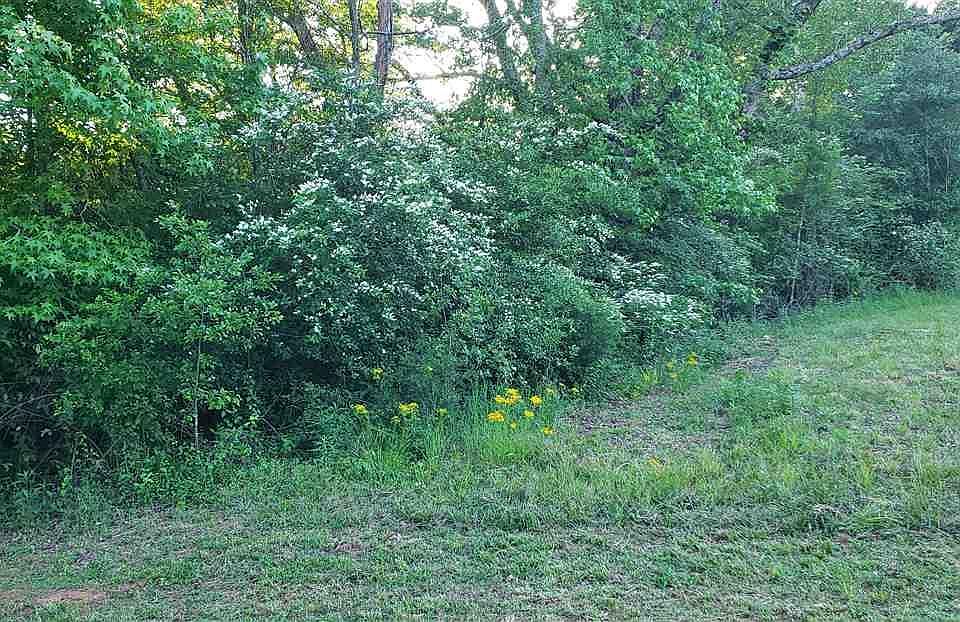 1st image of 126 Brandi Ln