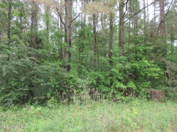 2902 Utah Rd, Lena, MS 39094