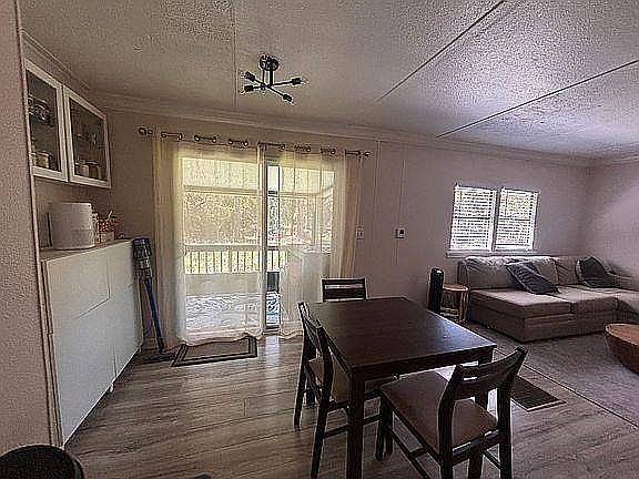 Open plan dining/family room