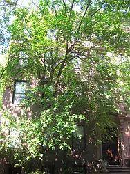 Rented by Awaye Realty Management LLC