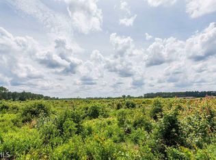 0 Brantley Rd, Hazlehurst, GA 31539