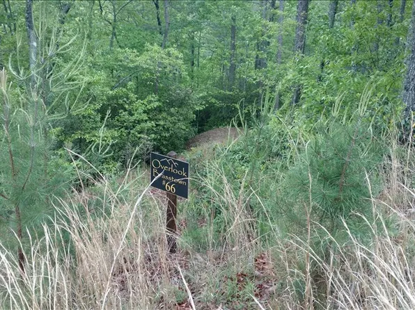 LOT 66 Brasstown Vw, Brasstown, NC 28902