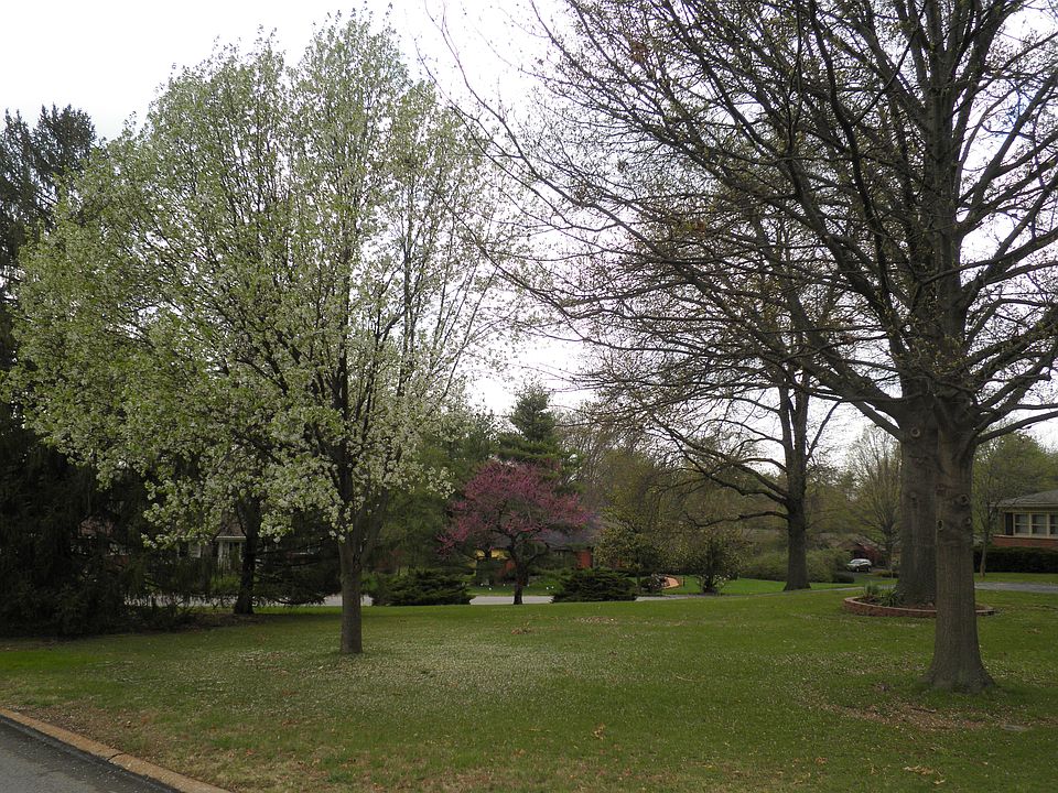 1st image of 39 Ladue Mdws