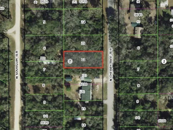 6376 N Cherrytree Ter, Hernando, FL 34442