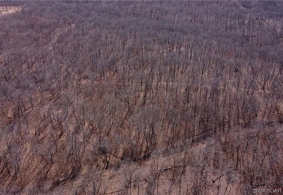 2nd image of Mistwood Hollow Dr