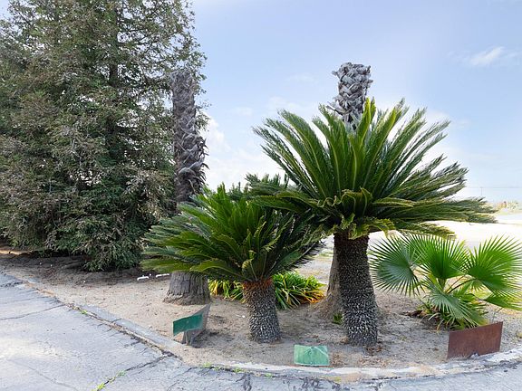 5th image of 12265 E Dinuba Ave