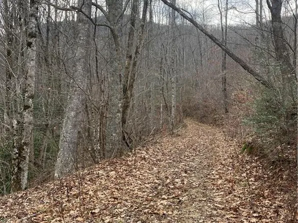 0 White Rock Rd, Cullowhee, NC 28723