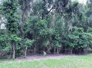 NW 45th Ter LOT 19, Chiefland, FL 32626