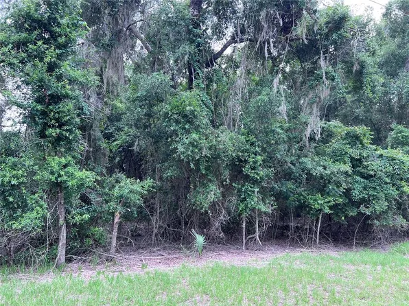 NW 45th Ter Lot 19, Chiefland, FL 32626
