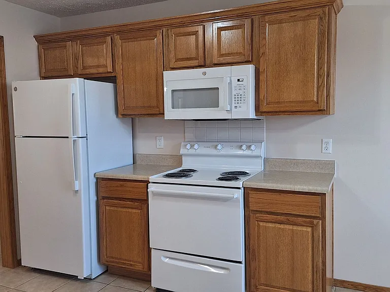 1305 E Hampton Dr — Photo 4