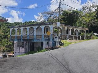 H 155 Buena Vista Toita Ward La Herradura Sector, Cayey, PR 00736
