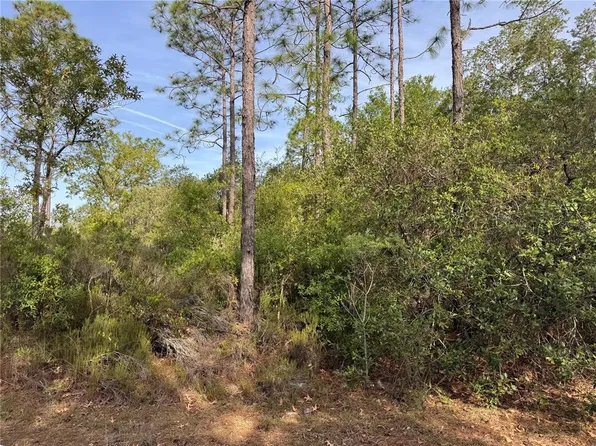 TBD NE 76TH, BRONSON, FL 32621