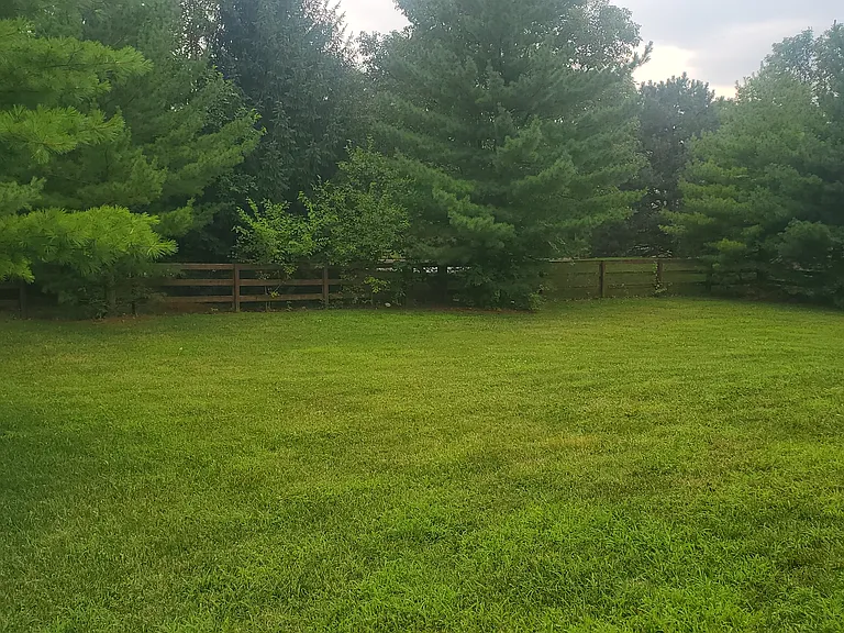 7893 Orchard Ct — Photo 39