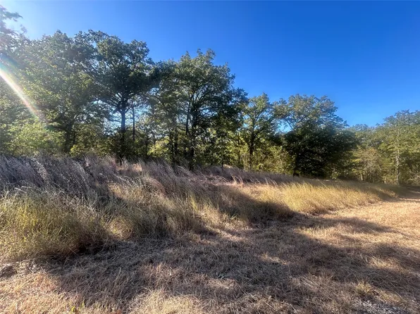 58 Point Lavista Rd, Malakoff, TX 75148