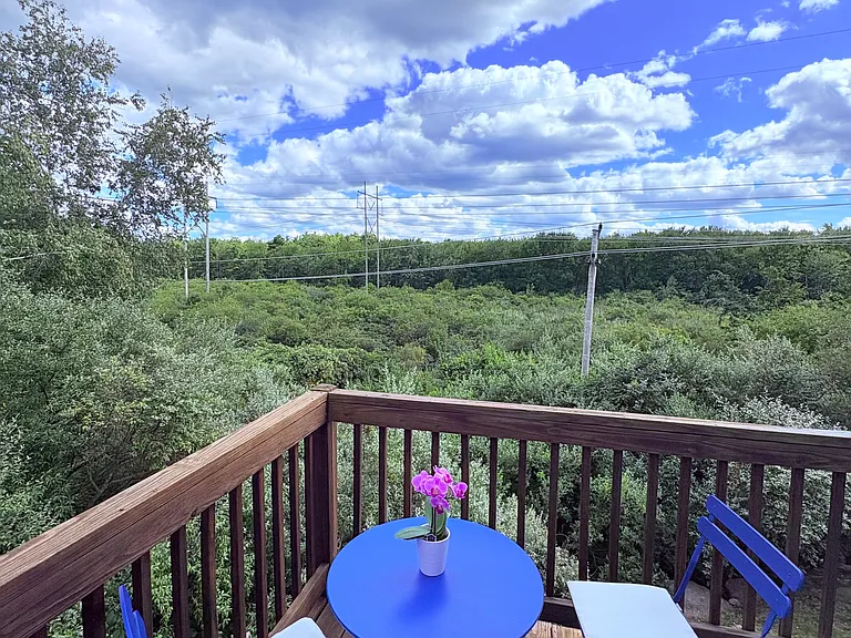 Spacious deck with stunning views, perfect for enjoying some peaceful, quiet time.