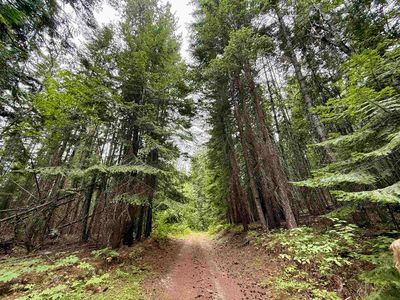 0 Bergen Rd, Newport, WA, 99156