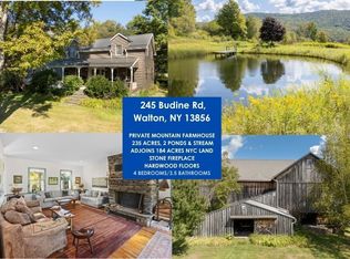 245 Budine Rd, Walton, NY 13856