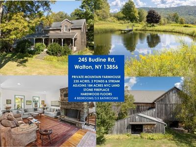 245 Budine Rd, Walton, NY, 13856
