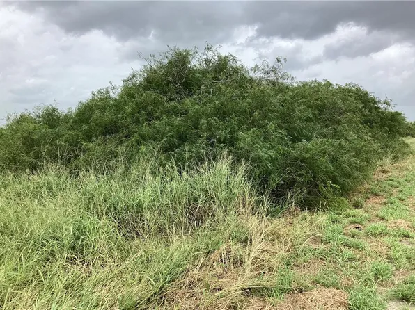 0 S County Road 1140, Riviera, TX 78379