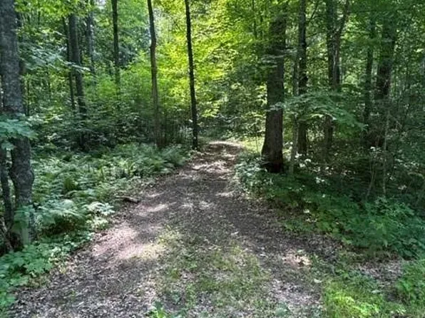 0 Wild Wood Lane, Birchwood, WI 54817