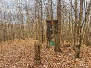 Hutt Rd, Ray, OH 45672