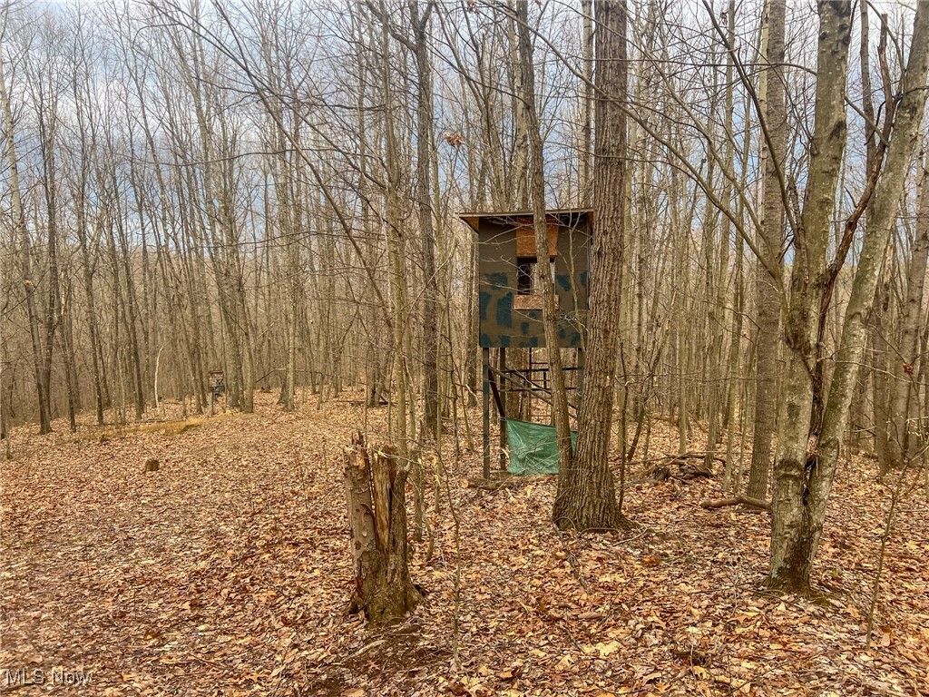 Real estate listing image