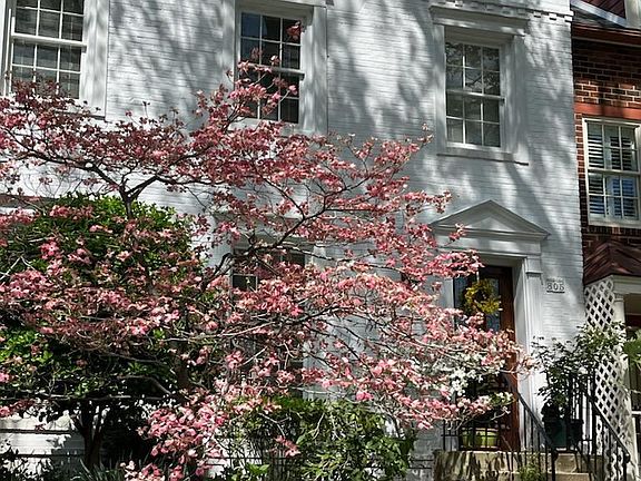 4th image of 805 Green St