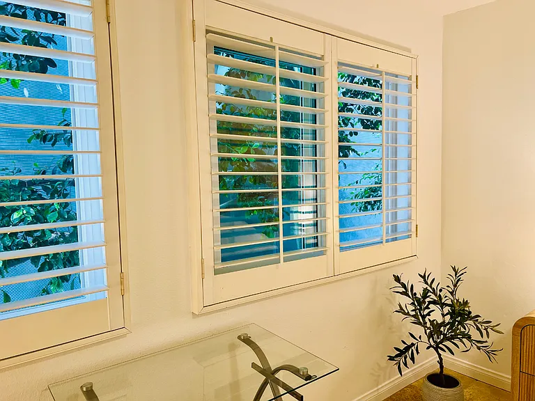 Looking right out of the primary bedroom window. No need to even use the shutters--the neighbor windows don't line up