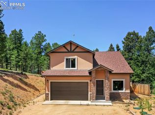 71 Mount Elbert Dr, Florissant, CO 80816